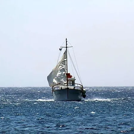 Nikos Argos